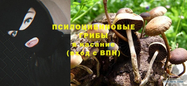 амф Новодвинск